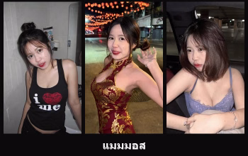 เปิดวาร์ป แมมมอส - cupe